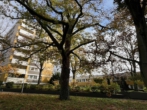 Hausansicht - Gepflegte 3 Zimmer + Balkon - Blick ins Grüne - Parkplatz möglich