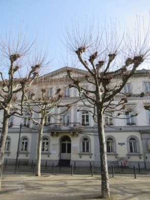 Kleinere Einheit in Bürogemeinschaft / Zentrale Lage / Erdgeschoss, 65185 Wiesbaden, Bürofläche