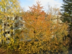 Ausblick - Bierstadt: Geräumige, helle 3-Zimmer-Wohnung, tolle Hausgemeinschaft!